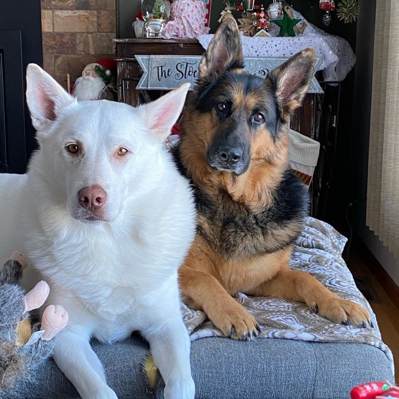 Meet your Posher, Deanna - Picture 2 of 16